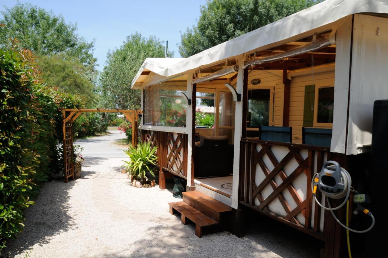 Apartment Mobilhome Les Agapanthes Au Camping Les Pins Maritimes Hyeres