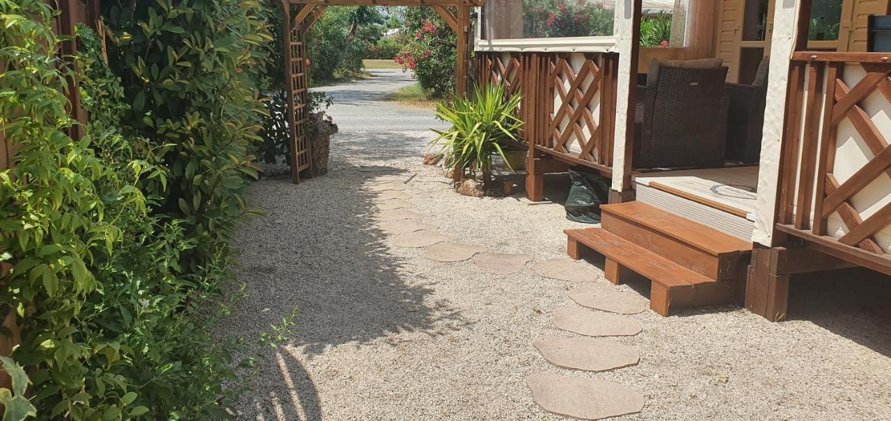Mobilhome Les Agapanthes Au Camping Les Pins Maritimes Apartment Hyeres